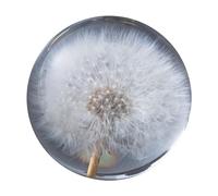 WUUISDNX Boule de rêve en Forme de Pissenlit, Fabrication Artistique, décoration élégante, Boule de Pissenlit en Cristal, Figurine en résine, Choix de Cadeau, Type3 9cm