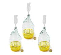 WYSKONT Bouteille bonbonne à col étroit avec bouchon à vis, panier de protection, sas et bouchon pour la fabrication du vin, la fermentation, le stockage des boissons, verre transparent, 3 x 5 L