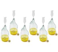 WYSKONT Bouteille bonbonne à col étroit avec bouchon à vis, panier de protection, sas et bouchon pour la fabrication du vin, la fermentation, le stockage des boissons, verre transparent, 6 x 5 L