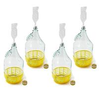 WYSKONT Bouteille bonbonne à col étroit avec bouchon à vis, panier de protection, sas et bouchon pour la fabrication du vin, la fermentation, le stockage des boissons, verre transparent, 4 x 5 L