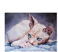 WYWQN 5D Diamant Dessin Diy Carré Mignon Sphinx Chat Image Broderie Diamant Peinture Sticker Mural 30x40CM