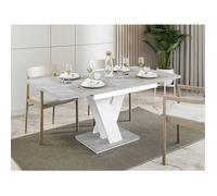 Xandriel - table à manger extensible - gris et blanc - 4 à 6 personnes - Blanc/chêne clair