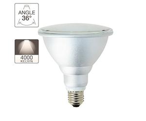 Xanlite ALPAR38 Par38 1200LM Ip44 E27 4000K Plastique + Aluminium 15 W Gris