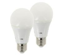 Lot De 2 Ampoules Smd Led A60 Opaque, Culot E27,806 Lumens, Conso 9w