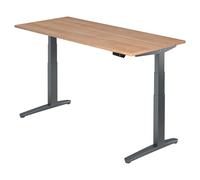 XBHM 19 GG | Bureau 180 x 80 réglable en hauteur électriquement Noyer