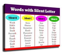 XGINERFEX Educational Language Poster Words with Silent Letters Spelling Rules Chart Wall-Art for Classroom Home School Learning Decor(Framed,12x18inch(30x45cm))