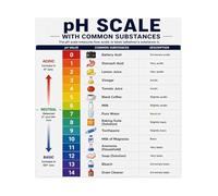 XGINERFEX PH Scale Science Poster Acids and Bases Chart Chemistry Educational Reference Guide for Classroom or Homeschool Wall Decor(Unframed,08X12inch(20X30cm))