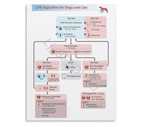 XGINERFEX Veterinary CPR Algorithm Chart Poster Emergency First Aid Procedure Guide Canvas for Vet Clinic and Animal Hospital(Unframed,12x18inch(30x45cm))