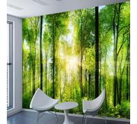 XINRUYI Papier peint 3D lever de soleil forêt et plantes vertes papier peint mural stickers décoratifs décoration de chambre et de salon