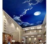 XINRUYI Papier peint mural autocollant 3D pour plafond, motif ciel nocturne romantique et lune, pour salon et chambre.