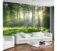 XINRUYI Papiers peints 3D forêt ensoleillée et paysages naturels revêtements muraux stickers artistiques décoration de chambre et de salon