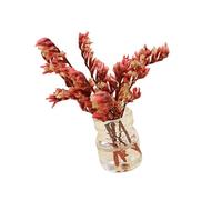Xinsheinelry Vase à Fleurs et Miniatures, Ensemble de Jeu, Collection de Loisirs, Accessoires de Jeu de Simulation, Vase à Fleurs