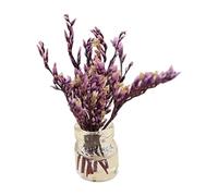 Xinsheinelry Vase à Fleurs et Miniatures, Ensemble de Jeu, Collection de Loisirs, Accessoires de Jeu de Simulation, Vase à Fleurs