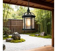 XINYASEE Suspension d'extérieur vintage, lampe suspendue en verre pour porche, terrasse, jardin, plafonnier d'extérieur rétro (DD-03)