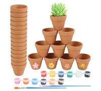 xinyids Lot de 25 Petits Pots de Fleurs en Terre Cuite pour Peinture avec 2 pinceaux et 12 Couleurs - 3 x 3,5 cm