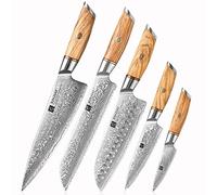 XINZUO 5 Pièces Set Couteaux de Cuisine 73 Couches Acier en Poudre de Damas, Tranchants Set Couteau de Chef Forgé à la Main -Couteau Chef Santoku Pain Universel Fruits-Poignée en Bois d'Olivier