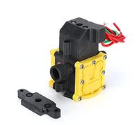 Xiuganpo Pompe à Diaphragme 12V, Pulvérisateur électrique Haute (ASmart