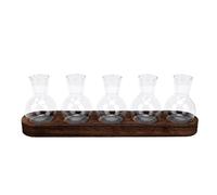 Xiuganpo Station de Propagation de Plantes en Verre avec Plateau en Bois