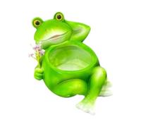 XLWLLNJ Pot de Fleur Grenouille Pot Décor Plante Vase Miniature Créatif Résine Adapté pour Bureau Salon Balcon Chambre 11cmx9cmx16cm