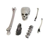 Xm 6 Pièces/Ensemble En Plastique Squelette Statues Accessoire Faux Os Sac D'os Pour Halloween Maison Hantée Artisanat Décoratif De Haute Qualité A3