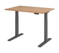 XMKA 12 G | Bureau 120 x 80 réglable en hauteur électriquement Noyer