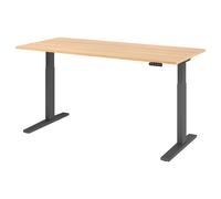 XMKA 19 G | Bureau - 180 x 80 Chêne réglable en hauteur électriquement