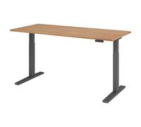 XMKA 19 G | Bureau 180 x 80 réglable en hauteur électriquement Noyer