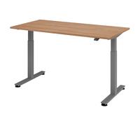 XMST 16 G | Bureau 160 x 80 réglable en hauteur électriquement Noyer