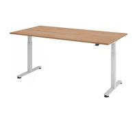 XMST 2E S | Bureau 200 x 100 réglable en hauteur électriquement Noyer