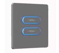Xnuiasqe Interrupteur à Bouton Intelligent Tuya Zigbee à Double Commande, Commande Vocale et Horaire pour Maison Connectée, Télécommande à 2 Boutons