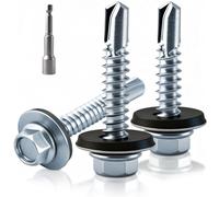 XRXYMQ 100 Pièces Vis Autoforeuse Metal 4.8 x 16 mm Vis Autoforeuse Inox avec Rondelles D'étanchéité Vise Bac Acier con Kit de ouille Vise Autoperforante pour Réparations Domestiques Tole Acier