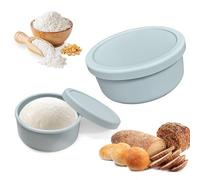 xtemtoamz Boîte à Pizza,Boite à Paton Pizza, Résistante à la Chaleur, Antiadhésive, Boite a Paton Pizza Gain de Place, Idéale pour la Fermentation, Congélation et Cuisson, Lot de 2, Bleu