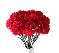 XZJMY Lot de 10 fleurs artificielles en soie avec tige de 55 cm de long, arrangements floraux, décoration de mariage, centres de table, décoration de maison, bureau, fête (rouge, 10)