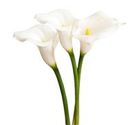 XZJMY Lot de 3 Fleurs de lys Calla artificielles en Soie de 68,6 cm pour Maison, Salon, Chambre, Table à Manger, Bureau, fête de Mariage, décoration de Jardin (Blanc)