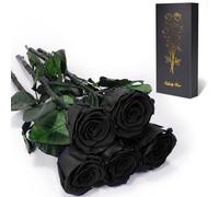 Yamonic Rose Eternelle Cadeau Femme,Vraie Rose avec Tige Cadeau Maman, Fleur Eternelle Cadeaux Anniversaire Femme,Fleur Préservée en Coffret Cadeaux Maman Noel Saint-Valentin Fete des Meres,5 Roses
