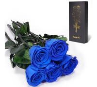 Yamonic Rose Eternelle Cadeau Femme,Vraie Rose avec Tige Cadeau Maman, Fleur Eternelle Cadeaux Anniversaire Femme,Fleur Préservée en Coffret Cadeaux Maman Noel Saint-Valentin Fete des Meres,5 Roses
