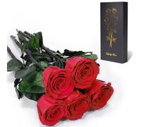 Yamonic Rose Eternelle Cadeau Femme,Vraie Rose avec Tige Cadeau Maman, Fleur Eternelle Cadeaux Anniversaire Femme,Fleur Préservée en Coffret Cadeaux Maman Noel Saint-Valentin Fete des Meres,5 Roses