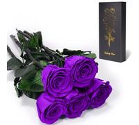 Yamonic Rose Eternelle Cadeau Femme,Vraie Rose avec Tige Cadeau Maman, Fleur Eternelle Cadeaux Anniversaire Femme,Fleur Préservée en Coffret Cadeaux Maman Noel Saint-Valentin Fete des Meres,5 Roses