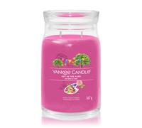 Yankee Candle Bougie signature parfumée Art In The Park Grande 567 g