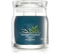 Yankee Candle Bayside Cedar bougie parfumée 368 g