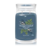 Yankee Candle Bayside Cedar Bougie parfumée 567 g