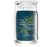 Yankee Candle Bayside Cedar bougie parfumée Signature 567 g