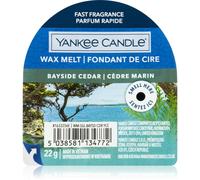 Yankee Candle Bayside Cedar tartelette en cire 22 g