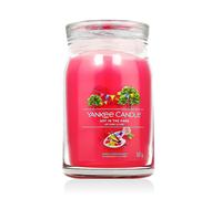 Yankee Candle Bougie signature parfumée Art In The Park Grande 567 g
