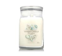 Yankee Candle Bougie parfumée Praline & Birch 567 g variante Baby Powder