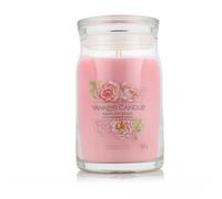 Yankee Candle Bougie parfumée Praline & Birch 567 g variante Fresh Cut Roses