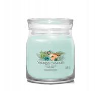 Yankee Candle – Bougie signature Aloe et Agave – Modèle moyen – Vert