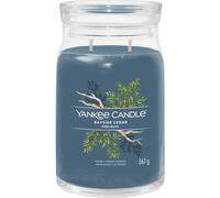 Yankee Candle Bougie parfumée Bayside Cedar 368 g – Pot moyen bleu
