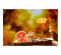 YANKEE CANDLE Candela Tumbler Piccola in vetro Signature Glistening Leaves