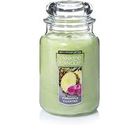 Yankee Candle Company Bougie en pot Motif coriandre Ananas